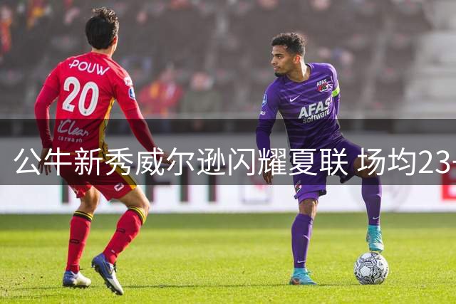 公牛新秀威尔逊闪耀夏联 场均23+7+2数据荣膺最佳阵容