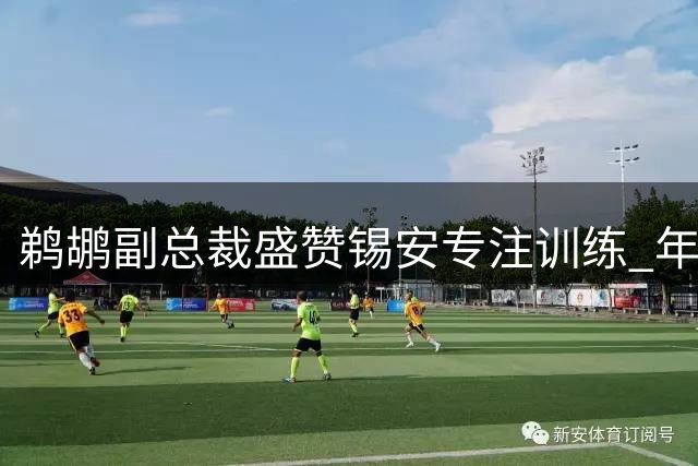 鹈鹕副总裁盛赞锡安专注训练 年轻核心有望迎来蜕变